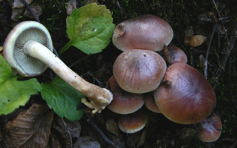 Facili,meno facili...per allenamento...
